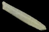 Sage-Green Quartz Crystal with Dual Core - Mongolia #169910-1